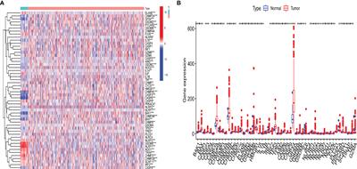 The Expression of Pyroptosis-Related Gene May Influence the Occurrence, Development, and Prognosis of Uterine Corpus Endometrial Carcinoma